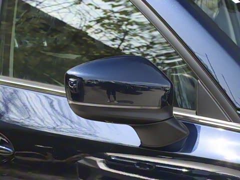 2025�� 2.0L �Զ���������Pro