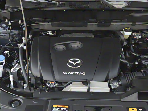 2025�� 2.0L �Զ���������Pro