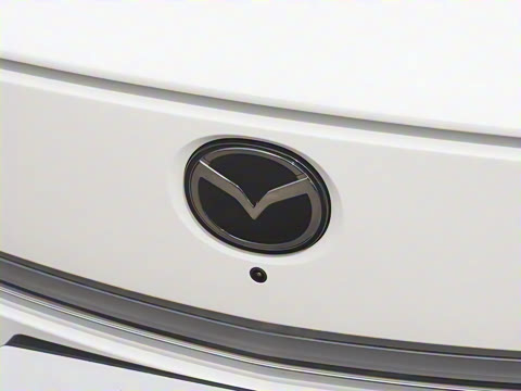 2025�� ����200 Pro