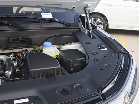 2026�� �������̼�����