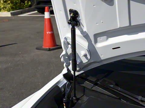 2025�� �Ŀ� ����������