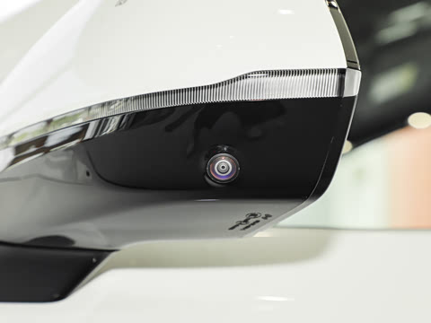 2025�� Max ������