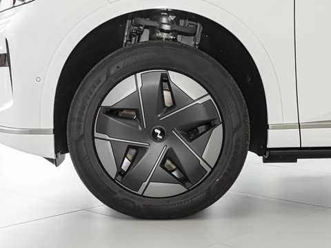 2025�� Max ������