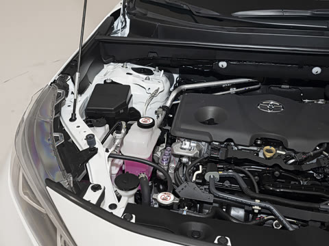 2024�� ˫�� 2.5L E-CVT��������