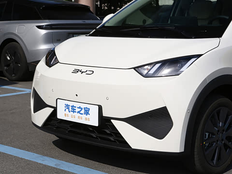 2026�� 305km ���ɰ�