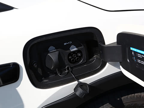 2026�� 305km ���ɰ�