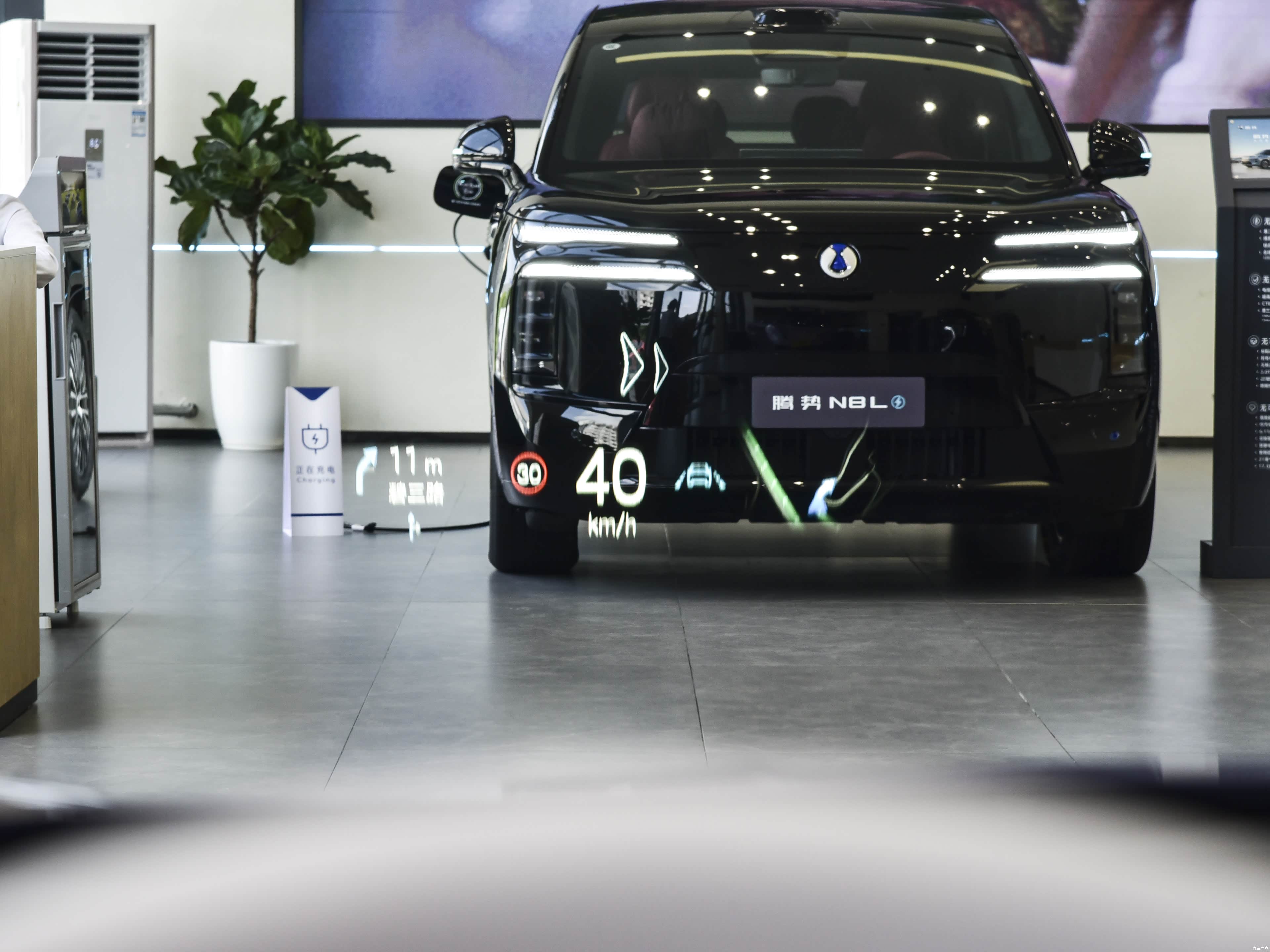Denza Z9GT, миниатюра 20