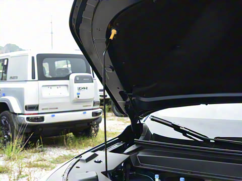 2026�� 650 ���װ�