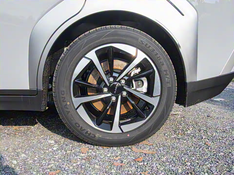 2025�� Plus 610 ������