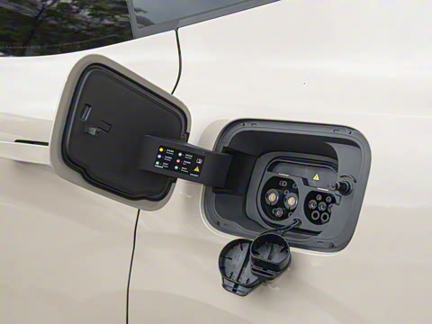 2026�� ������������Plus