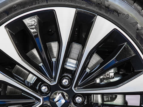 2026�� 255km Ǭ��������