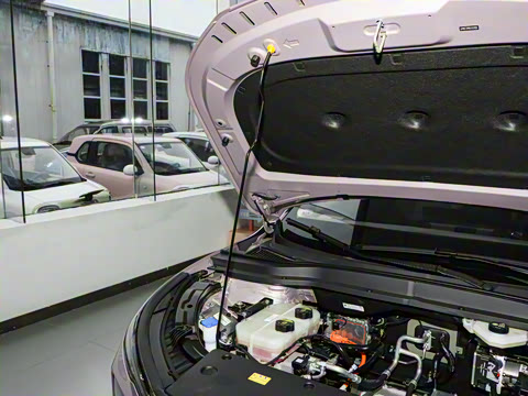 2025�� 565km ������