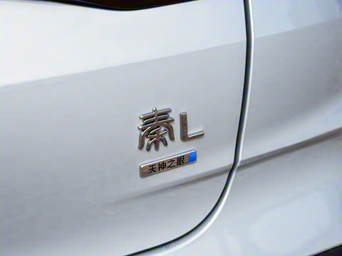 2026�� DM-i 210KM��Խ��