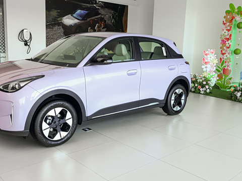 2026�� 310km �˷��
