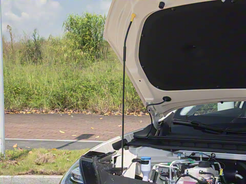 2026�� 650�Ǻ���