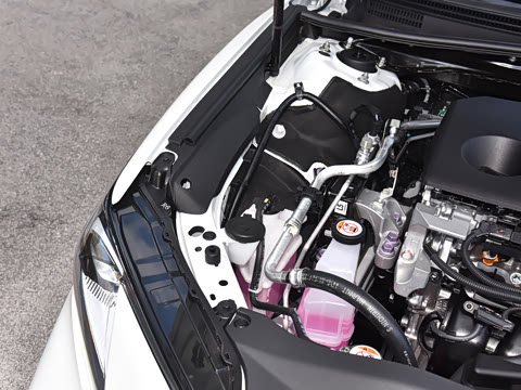 2026�� ˫�� 2.0HGVP ������