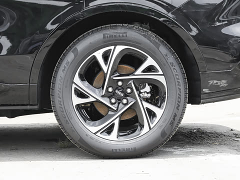 2026�� 2.0T ǿ�� �������