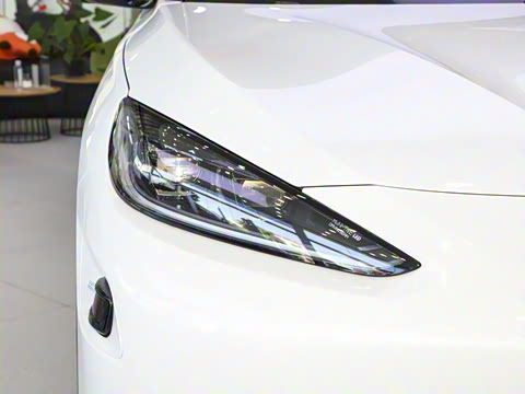 2025�� 602�������״��