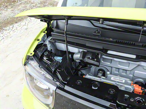 2025�� 205km ʥ����