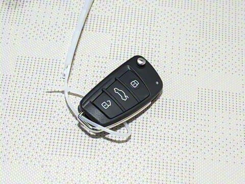 2025�� 205km ʥ����