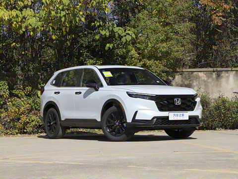 2026�� ȫ��30����ҫ�� 2.0L e:HEV �������а�