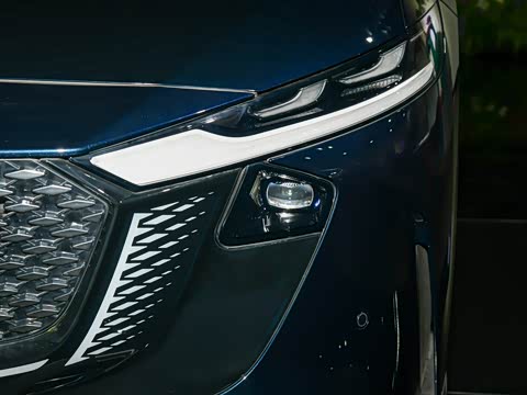 2025�� ����200�����˶���