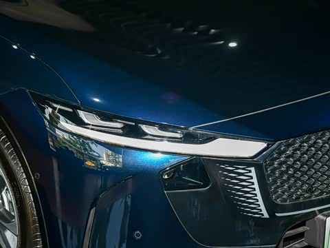 2025�� ����200�����˶���