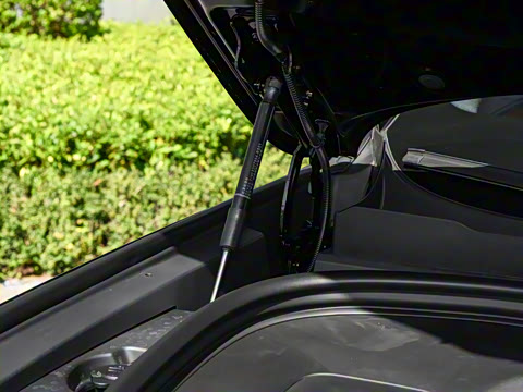 2026�� ���� Max������ 5��