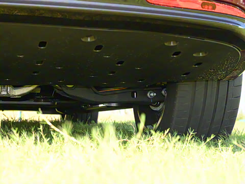 2026�� ���� Max�������� 6��