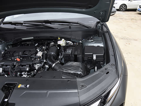 2025�� ;ʤL 1.5T ����