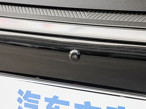 2025�� ��� ����������