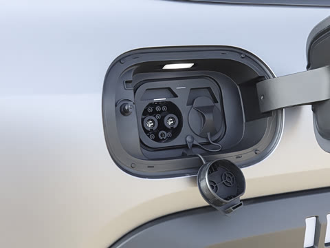 2025�� �Ǿ�Ǭ���� 5��