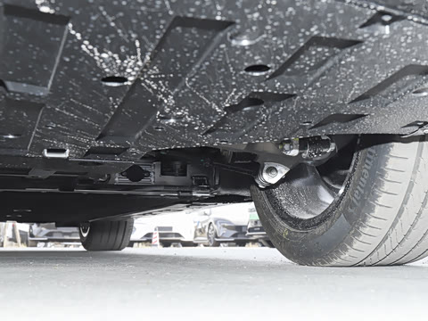 2025�� Elite�����