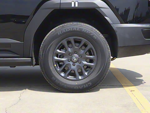 2025�� ̽Ұ�� 5��