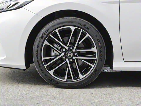 2026�� ˫�� 2.5HG ����