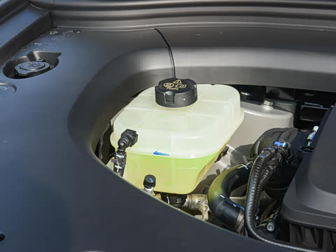 2026�� ���� Max������ 6��