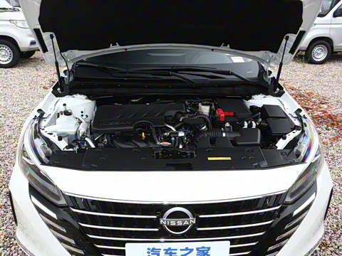 2025�� 2.0L XL-TLS ������