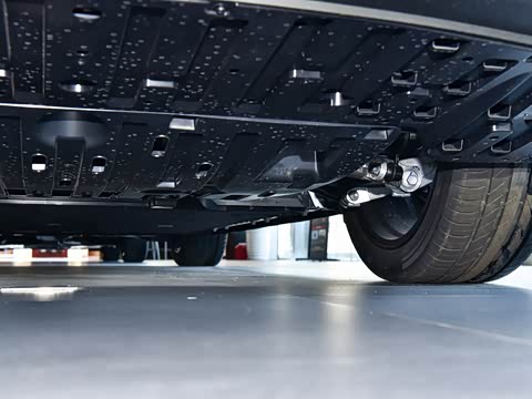 2026�� ����600 Pro�˶���