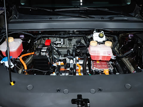 2026�� 530km ������