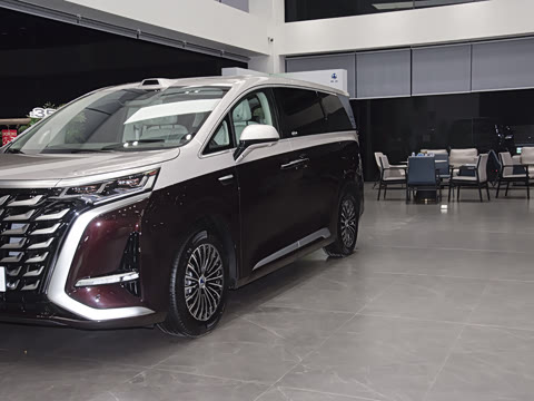 2025�� DM-i ����������