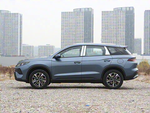 2026�� DM-i 133KM��ȡ��