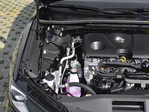 2026�� ˫�� 2.0HS �˶���