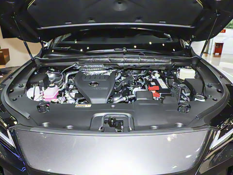 2025�� 300 ����������