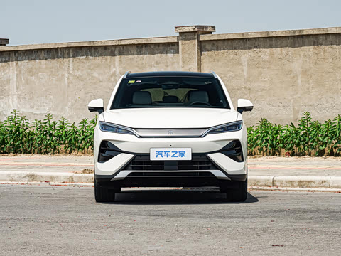 2026�� DM-i 310KM ��Խ��