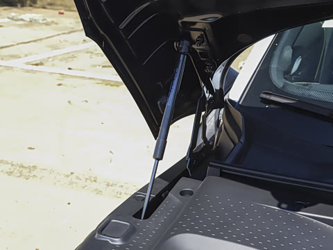 2026�� �鶯��������