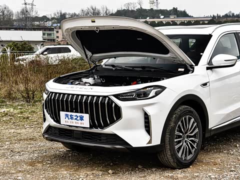 2026�� �ھ��� 1.5T DCT����+ 7��