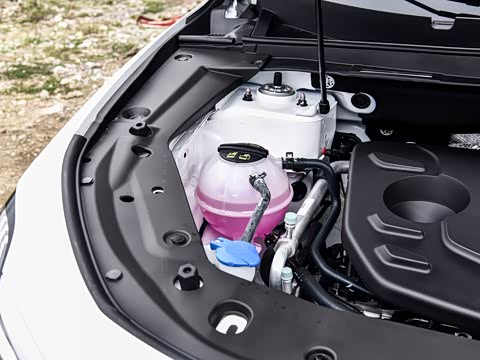 2026�� �ھ��� 1.5T DCT����+ 7��