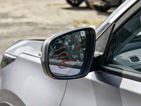 2025�� 290T ��������+