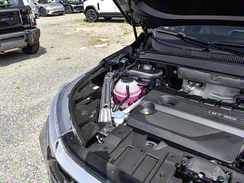 2025�� 290T ��������+