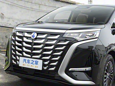 2025�� DM-i ��������